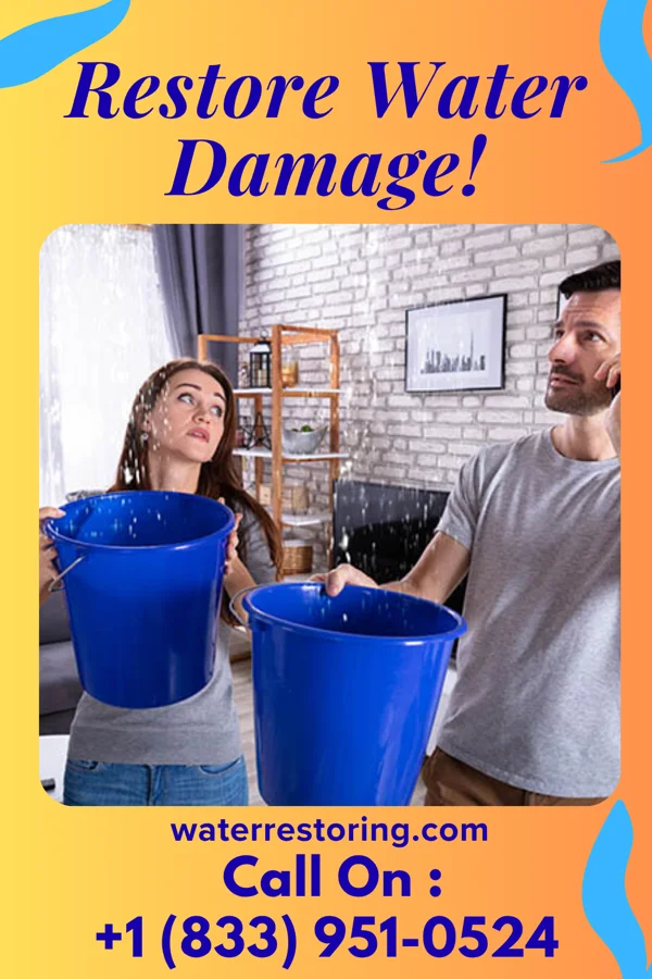 water restoration Stellar Extraction LLC Chapman