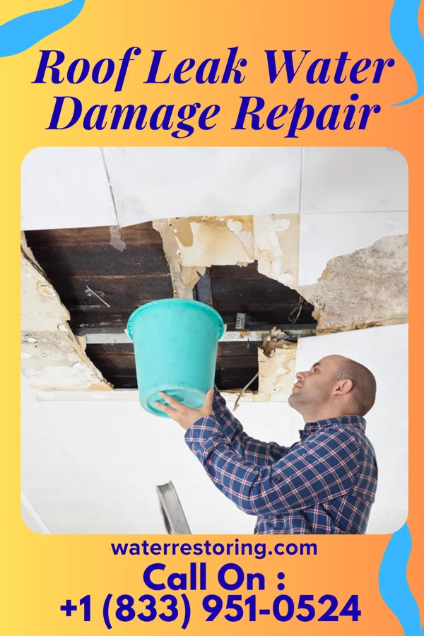 Roof Leak Water Damage Repair in Chapman, NE
