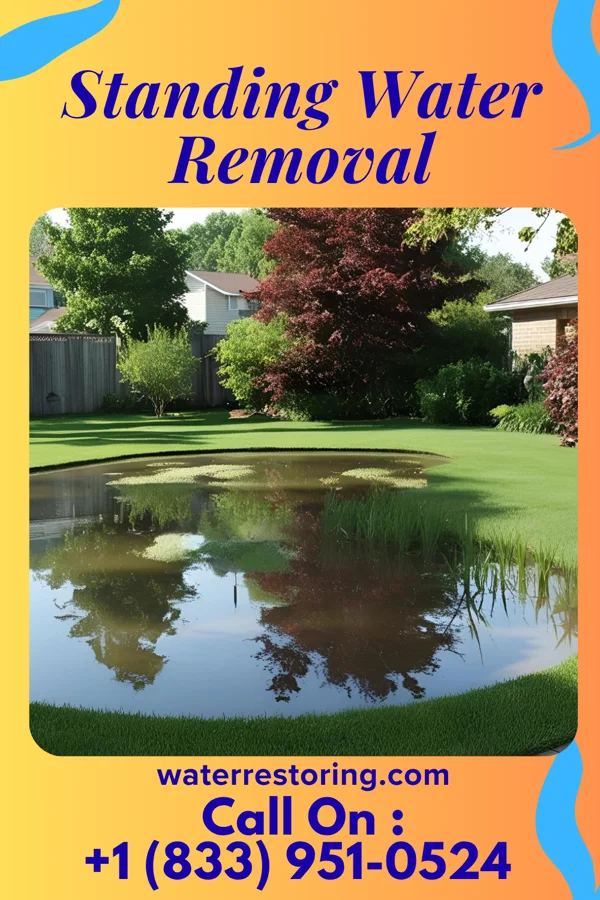 Standing Water Removal in Chapman, NE
